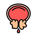 Prostate